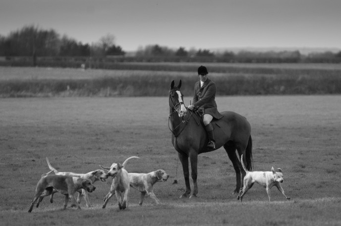 South Wold 1st Feb 2014.