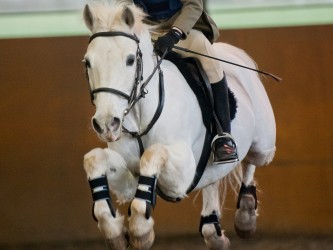 Welton District Riding club indoor showjumping  23 Feb 2014.