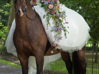 Wedding of Ginny and Andy July 2014 .